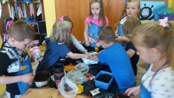 Grafika #8: Kącik przyrody w oddziale przedszkolnym