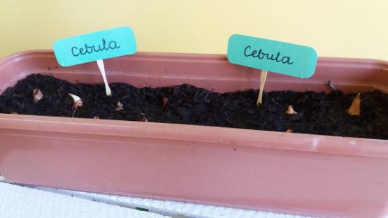 Grafika #13: Kącik przyrody w oddziale przedszkolnym