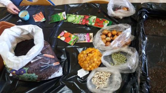 Grafika #3: Kącik przyrody w oddziale przedszkolnym