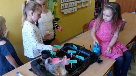 Grafika #9: Kącik przyrody w oddziale przedszkolnym