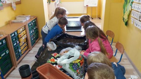 Grafika #4: Kącik przyrody w oddziale przedszkolnym