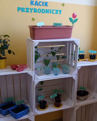 Grafika #0: Kącik przyrody w oddziale przedszkolnym