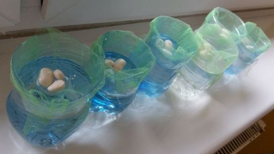 Grafika #5: Wiosna budzi zieleń