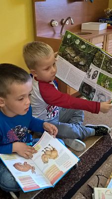 Grafika #1: Dzień Zwierząt