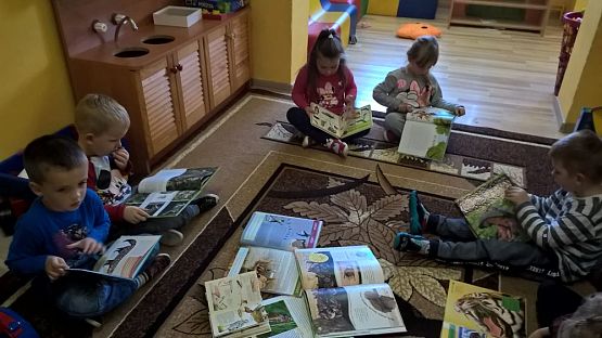 Grafika #0: Dzień Zwierząt