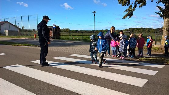 Grafika #0: Znamy przepisy ruchu drogowego!