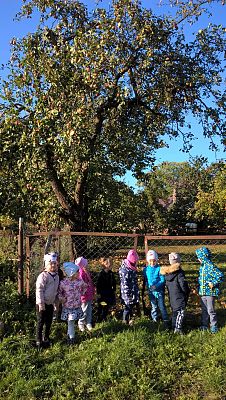 Grafika #4: Spacerkiem po sadzie