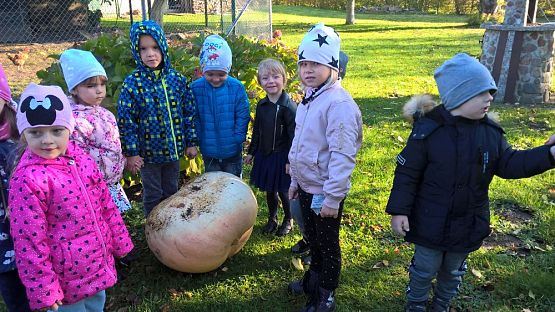 Grafika #2: Spacerkiem po sadzie