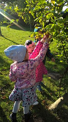 Grafika #1: Spacerkiem po sadzie