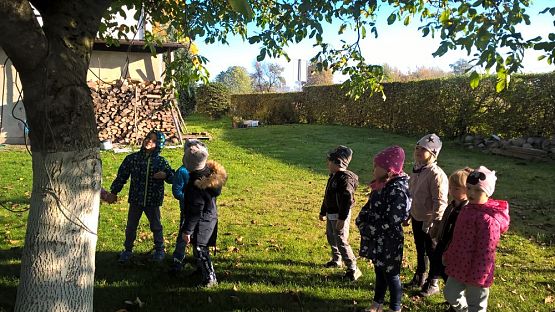 Grafika #0: Spacerkiem po sadzie