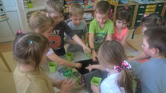 Grafika #1: Witamy wiosnę