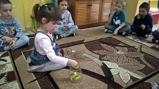 Grafika #10: W świecie zwierząt