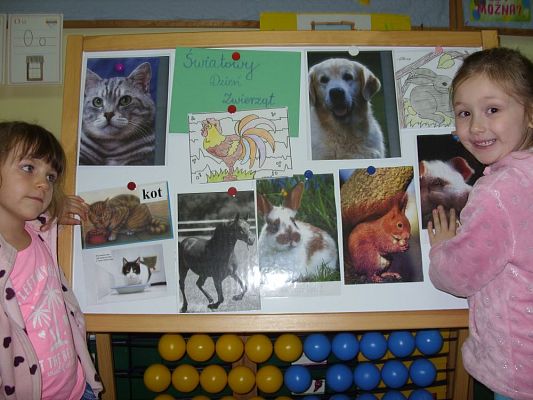 Grafika #4: Światowy Dzień Zwierząt