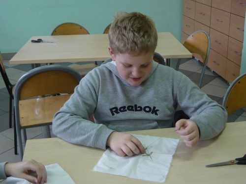 Grafika #3: Wyszywamy serwetkę haftem kaszubskim