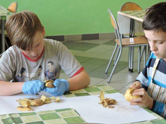 Grafika #2: Pieczemy placki ziemniaczane