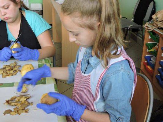 Grafika #1: Pieczemy placki ziemniaczane