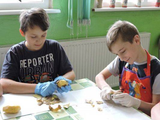 Grafika #0: Pieczemy placki ziemniaczane