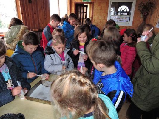 Grafika #5: Wycieczka do Doliny Jadwigi