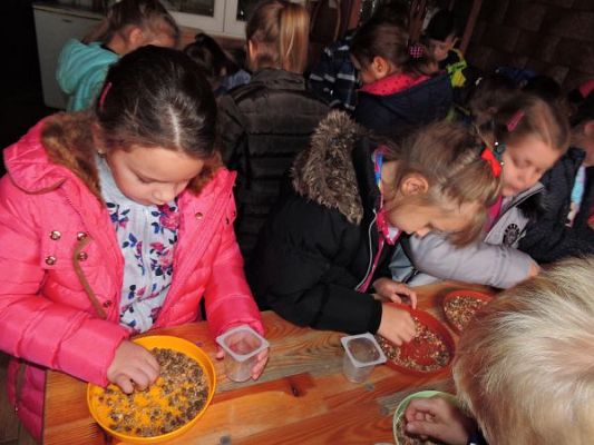 Grafika #3: Wycieczka do Doliny Jadwigi