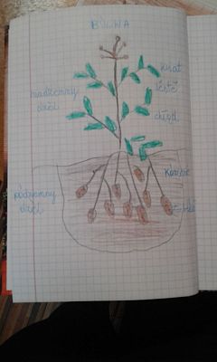 Grafika #10: Edukacja zdalna - język kaszubski klasa 3 i 4.