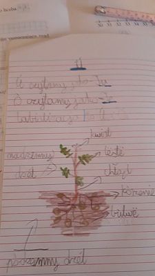 Grafika #9: Edukacja zdalna - język kaszubski klasa 3 i 4.