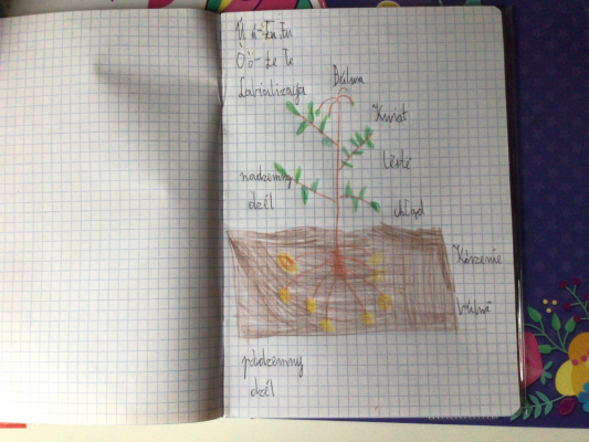 Grafika #13: Edukacja zdalna - język kaszubski klasa 3 i 4.