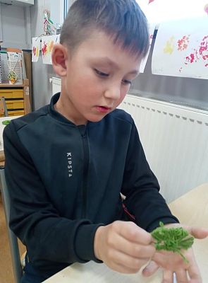 Grafika #6: Pompony w wykonaniu klasy 1 i 2.