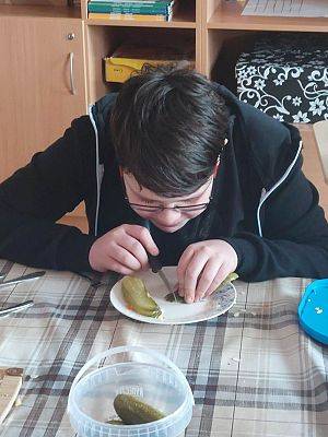 Grafika #6: Przepis na kaszubską sałatkę warzywną.