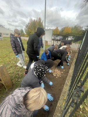 Grafika #1: Jesienne Pola Nadziei - sadzenie żonkili