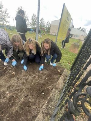 Grafika #4: Jesienne Pola Nadziei - sadzenie żonkili