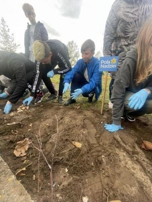 Grafika #6: Jesienne Pola Nadziei - sadzenie żonkili