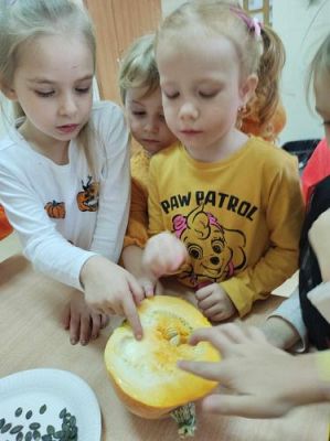 Grafika #12: Dzień Dyni