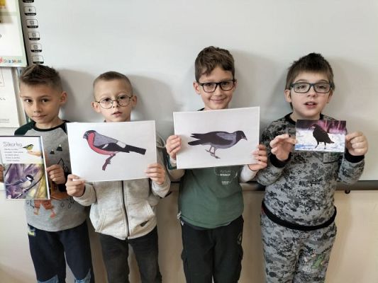 Grafika #29: Dokarmiamy ptaki -kl. II