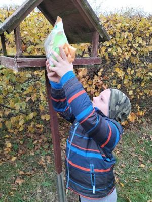 Grafika #47: Dokarmiamy ptaki -kl. II