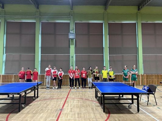 Grafika #2: Turniej tenisa stołowego- eliminacje powiatowe