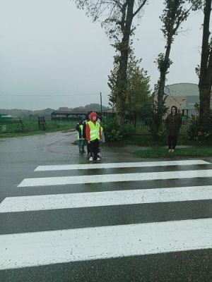 Grafika #8: Akademia Bezpiecznego Puchatka. Edycja II- kl. I