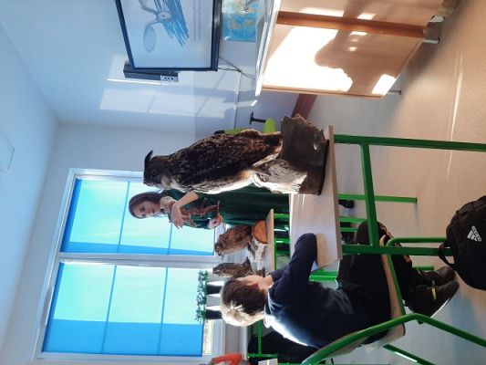 Grafika #3: Warsztaty przyrodnicze w SP Szczenurze