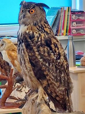 Grafika #22: Warsztaty przyrodnicze w SP Szczenurze