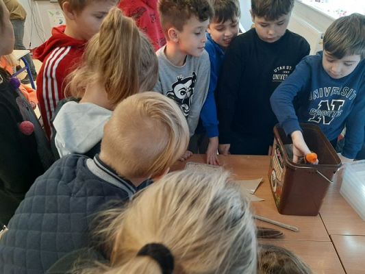 Grafika #34: Warsztaty przyrodnicze w SP Szczenurze