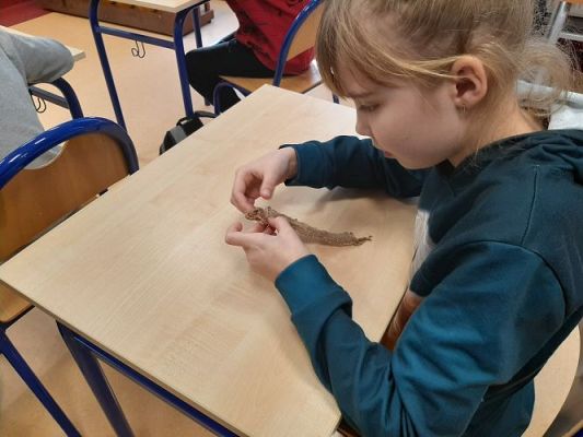 Grafika #49: Warsztaty przyrodnicze w SP Szczenurze