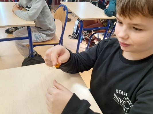 Grafika #50: Warsztaty przyrodnicze w SP Szczenurze