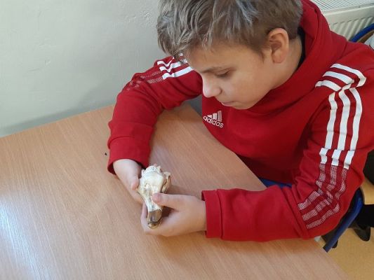 Grafika #51: Warsztaty przyrodnicze w SP Szczenurze