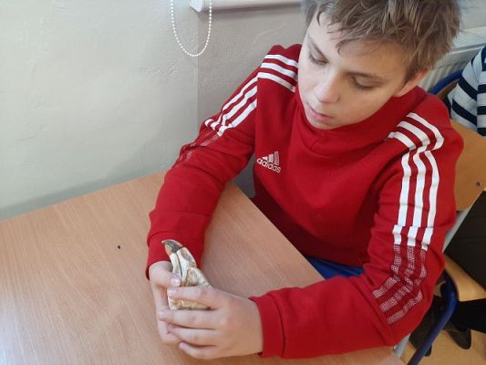 Grafika #52: Warsztaty przyrodnicze w SP Szczenurze