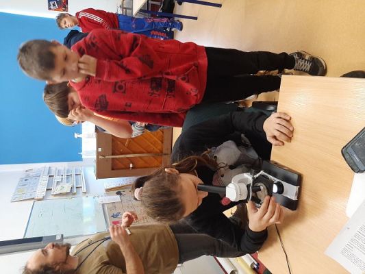 Grafika #54: Warsztaty przyrodnicze w SP Szczenurze