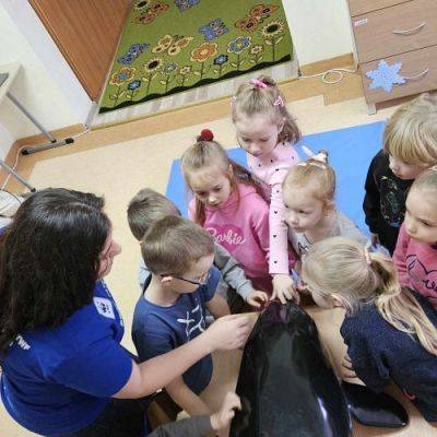 Grafika #2: Poznajemy życie w Bałtyku