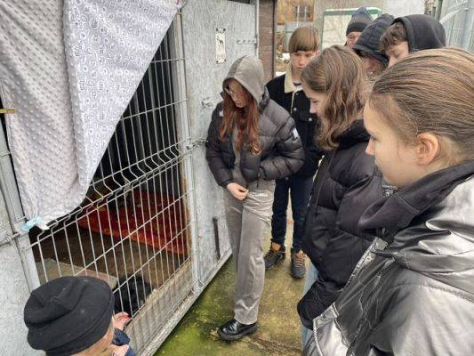 Grafika #1: Finał zbiórki dla schroniska Bajer w Małoszycach