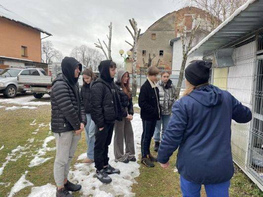 Grafika #2: Finał zbiórki dla schroniska Bajer w Małoszycach