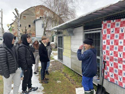 Grafika #3: Finał zbiórki dla schroniska Bajer w Małoszycach