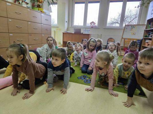 Grafika #0: Dzień Kota