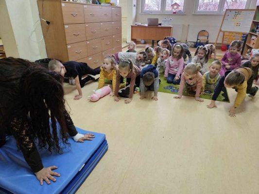 Grafika #7: Dzień Kota